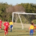 Hitting the top of the net