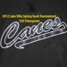 Lake Villa Champs