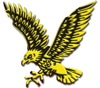 Sponsored by Huntsville Hawks Lacrosse